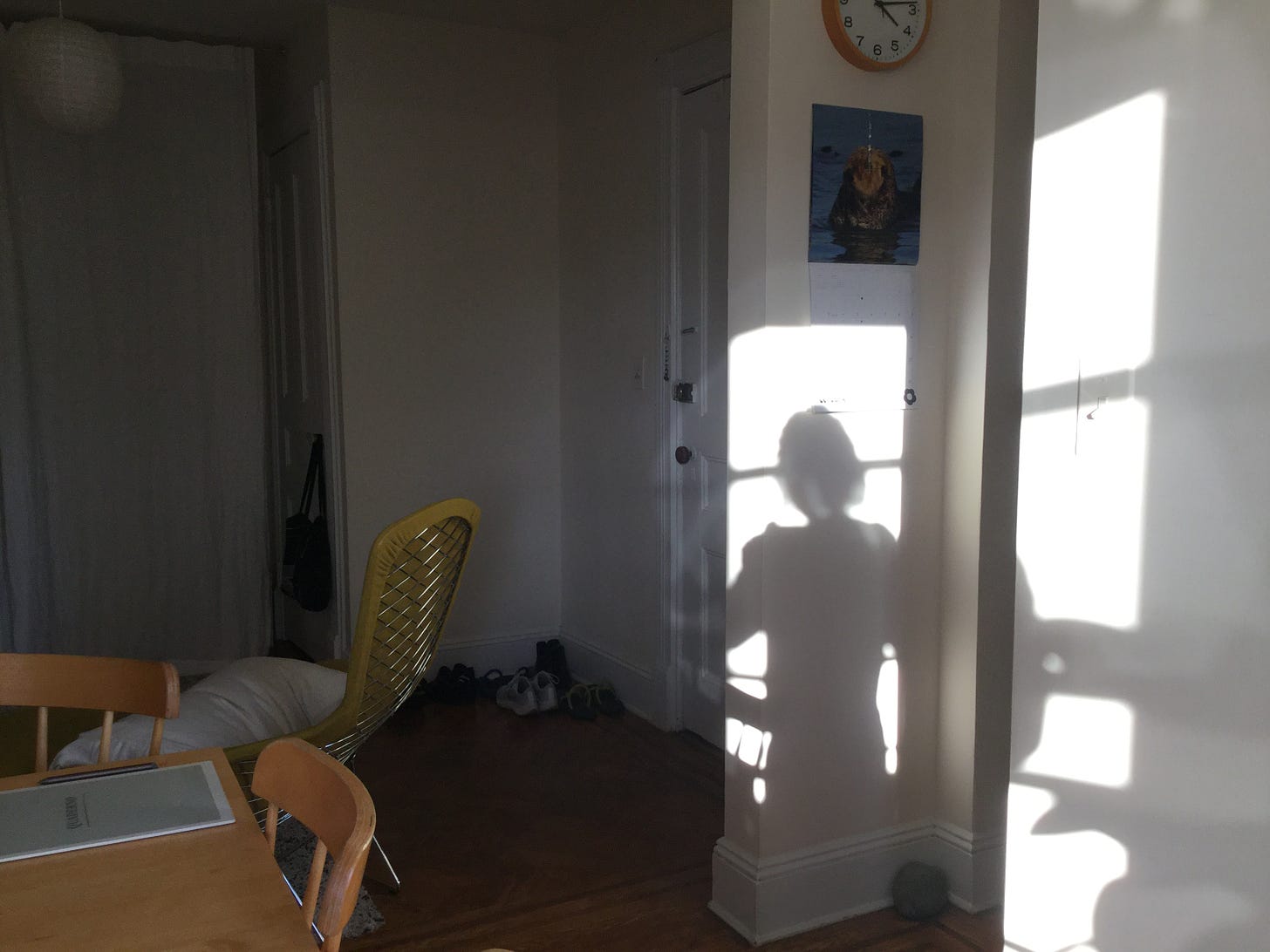 A bright light shines in through a window, making a shadow of a person on a wall. Below, there is a rock in a nook at the intersection of two walls.