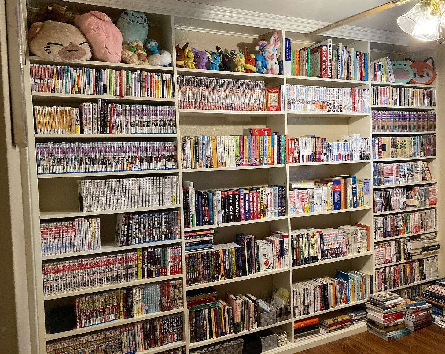 Picture of bookshelves filled with books