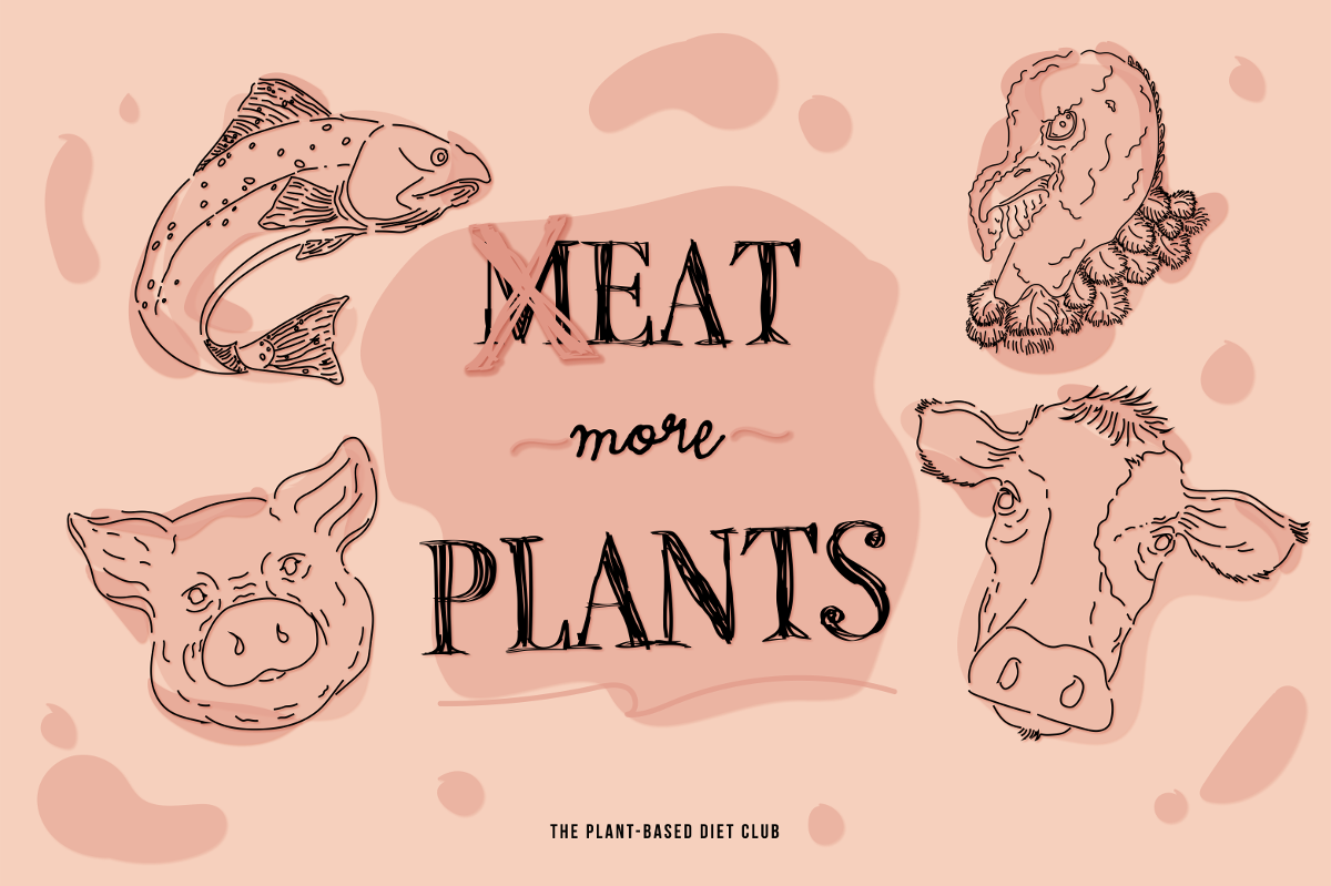 The Plant-Based Diet Club illustration by Anahi Alanis @anahialanisastudio