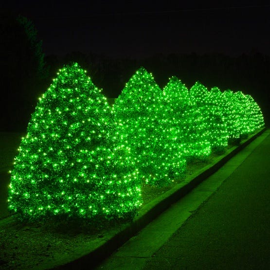 https://cdn.christmaslightsetc.com/images/productdetail/89458/Green-Mini-Lights-0420.jpg?w=555&h=555
