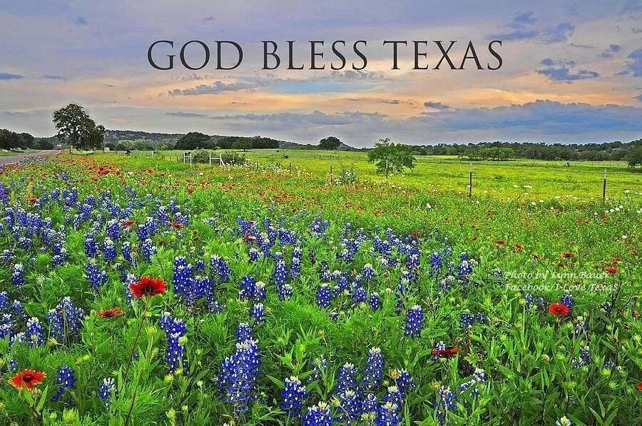 God bless Texas | Texas My Texas | Pinterest