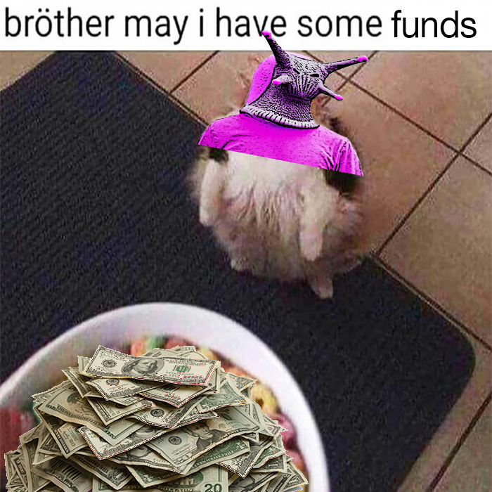 brother may i have some loops meme but it says brother may i have some funds and the cat is a slug and the loops are money