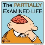 partially examined life