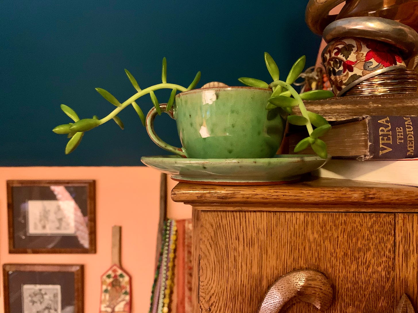 a small succulent in a green teacup