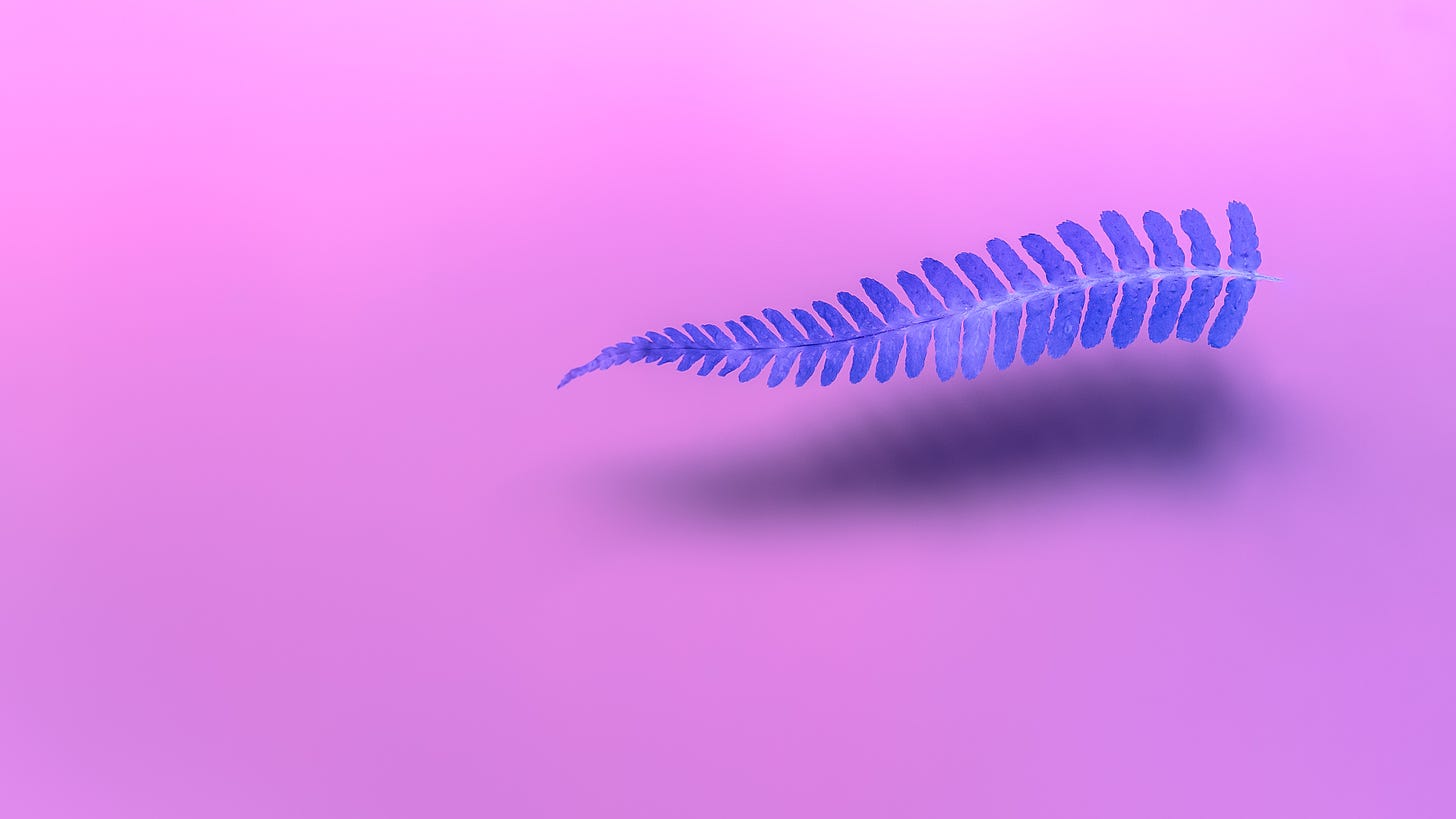 a purple fern floating against a pink background