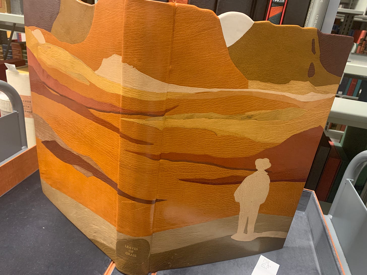 Binding of "Leaves of Grass" that depicts an orange sunset and desert scene with a figure in white looking over the landscape.