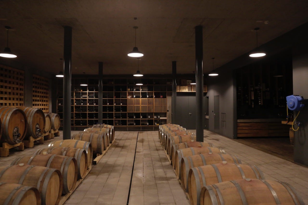 guerila wine zmago petric slovenia vipava barrel room