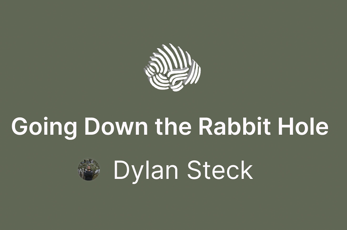 Going Down the Rabbit Hole by Dylan Steck