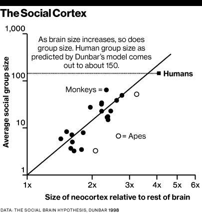 Our Brain Size Limits Our Number of Social Connections