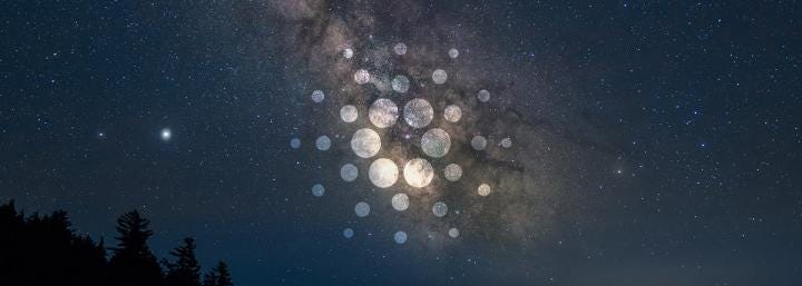 Industry exec believes Cardano (ADA) will be the fifth-largest crypto in 2021