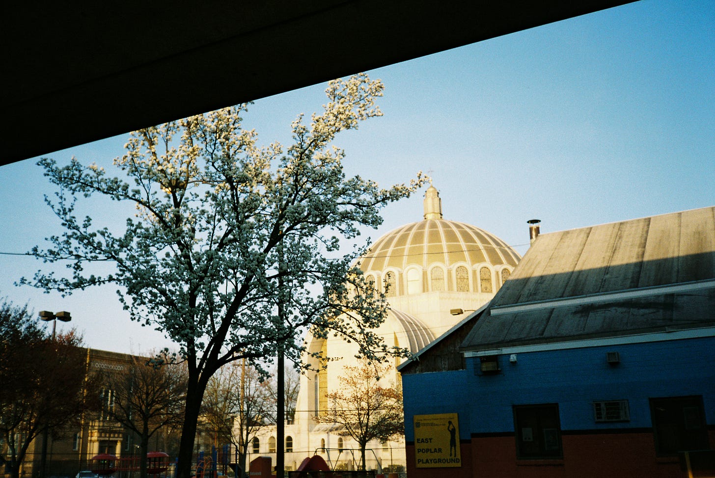 the image of a dome church illuminated by sunset and a small tree