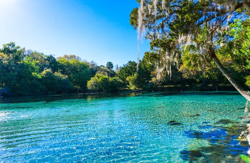 The Springs of Spring: Where to Cool Off in Central Florida
