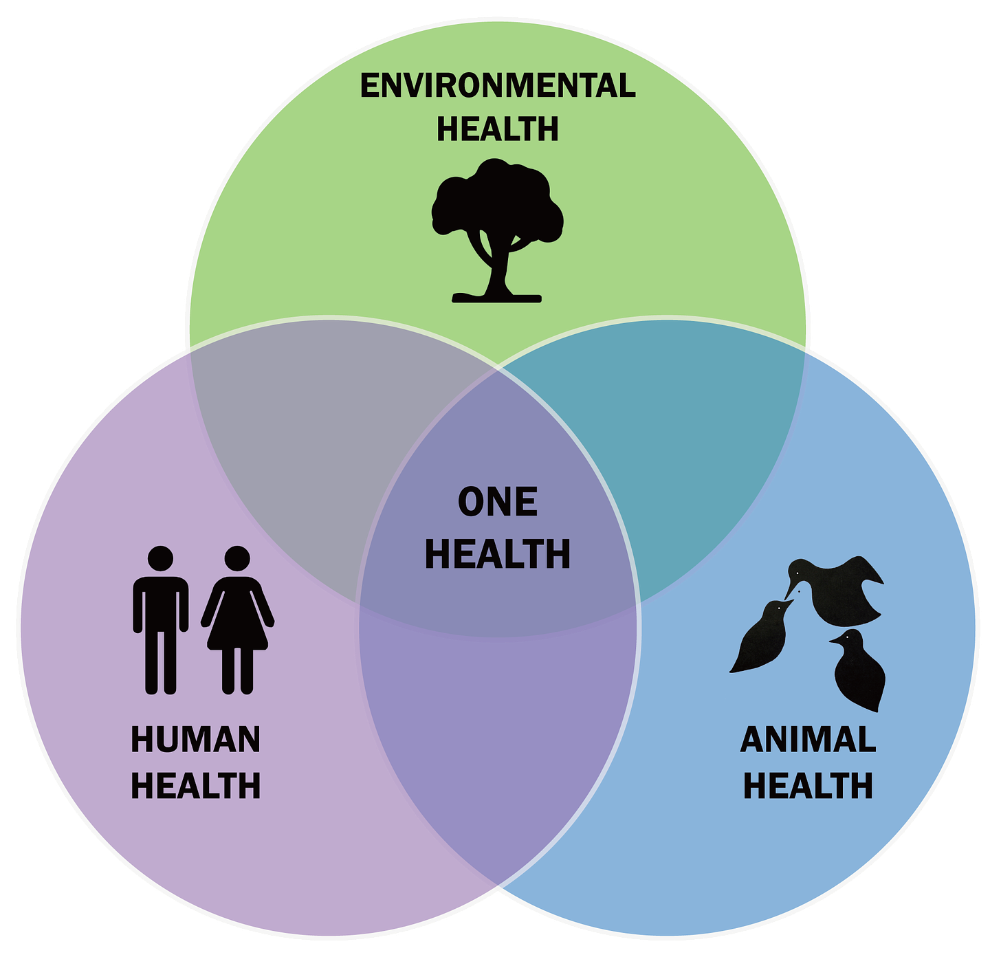 One Health Venn Diagram where environmental health, animal health and human health all overlap
