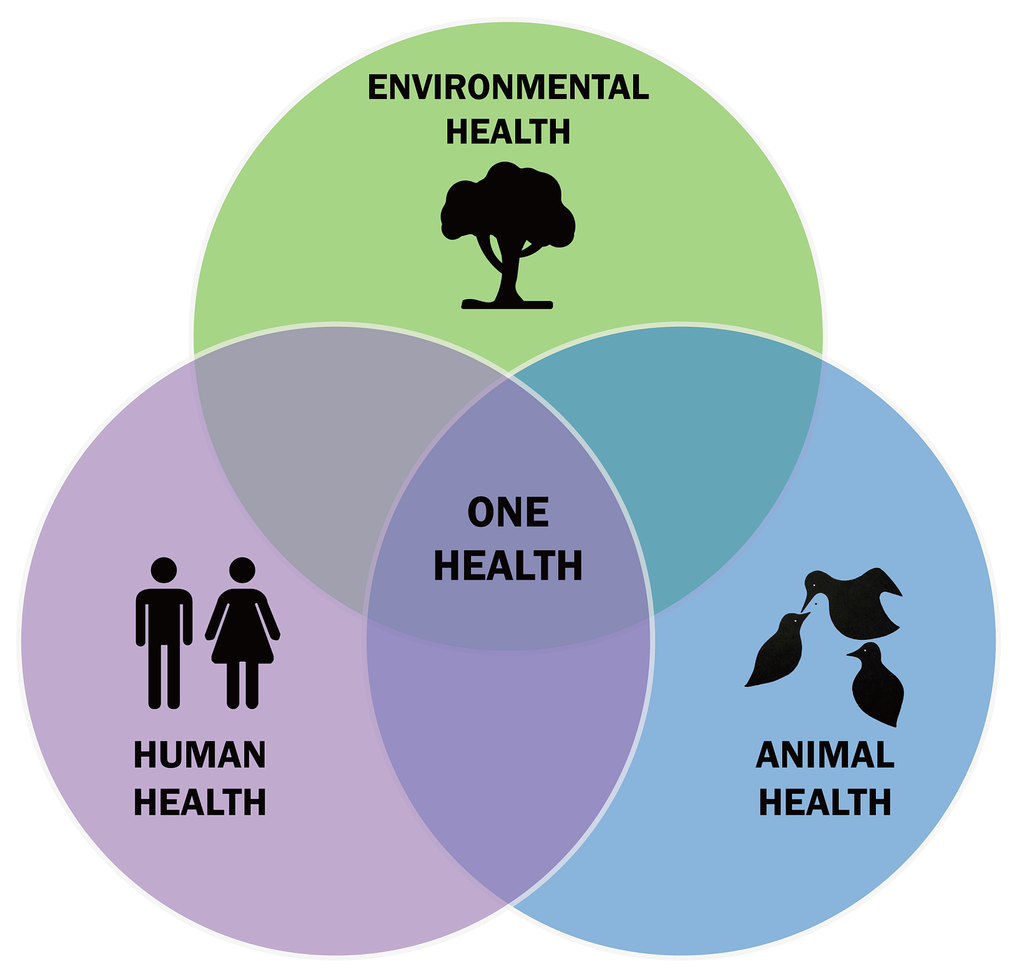 One Health Venn Diagram where environmental health, animal health and human health all overlap