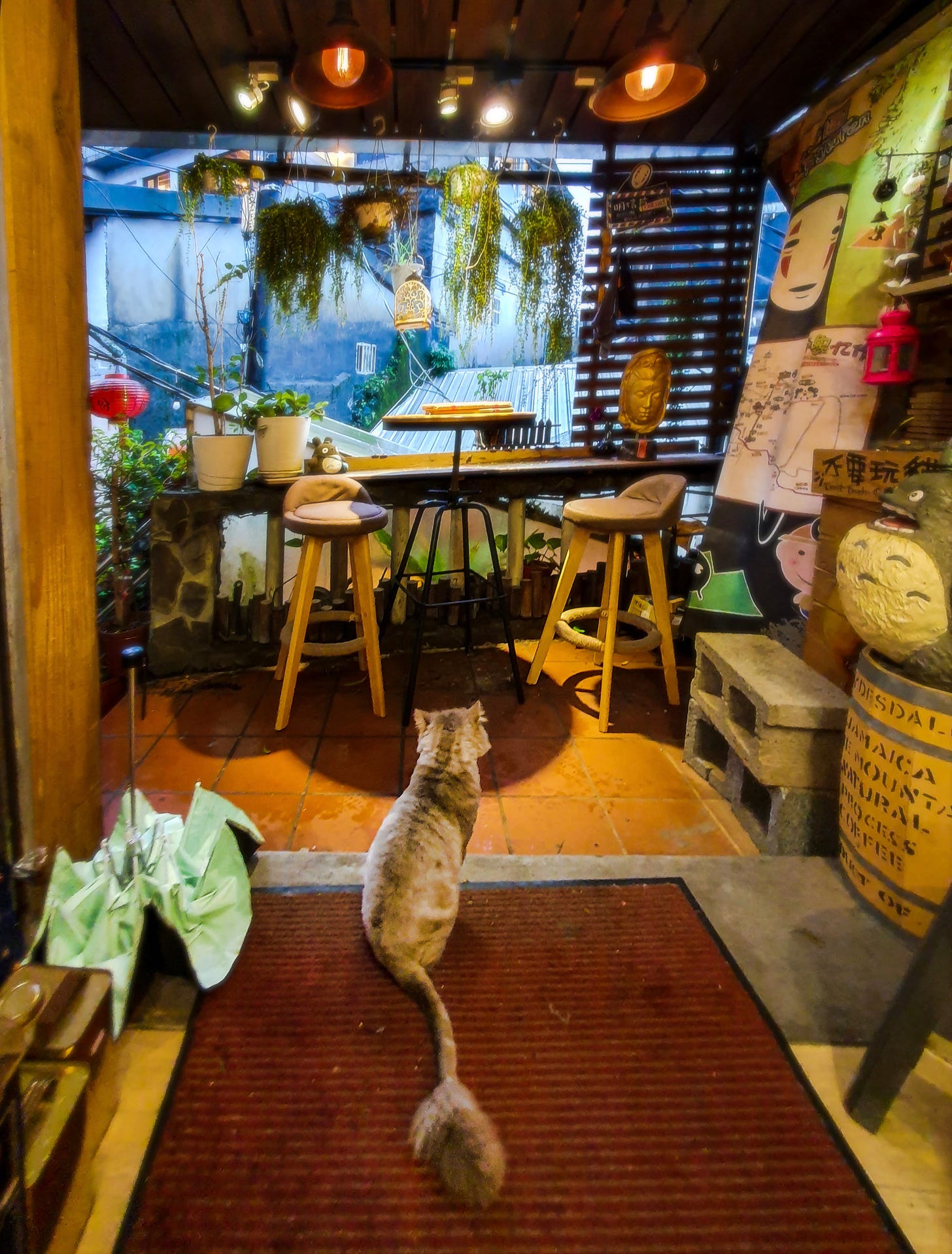 A cat sits looks out at the plant-filled balcony of Jiufen Impression Cafe 九份印象 during a rainstorm