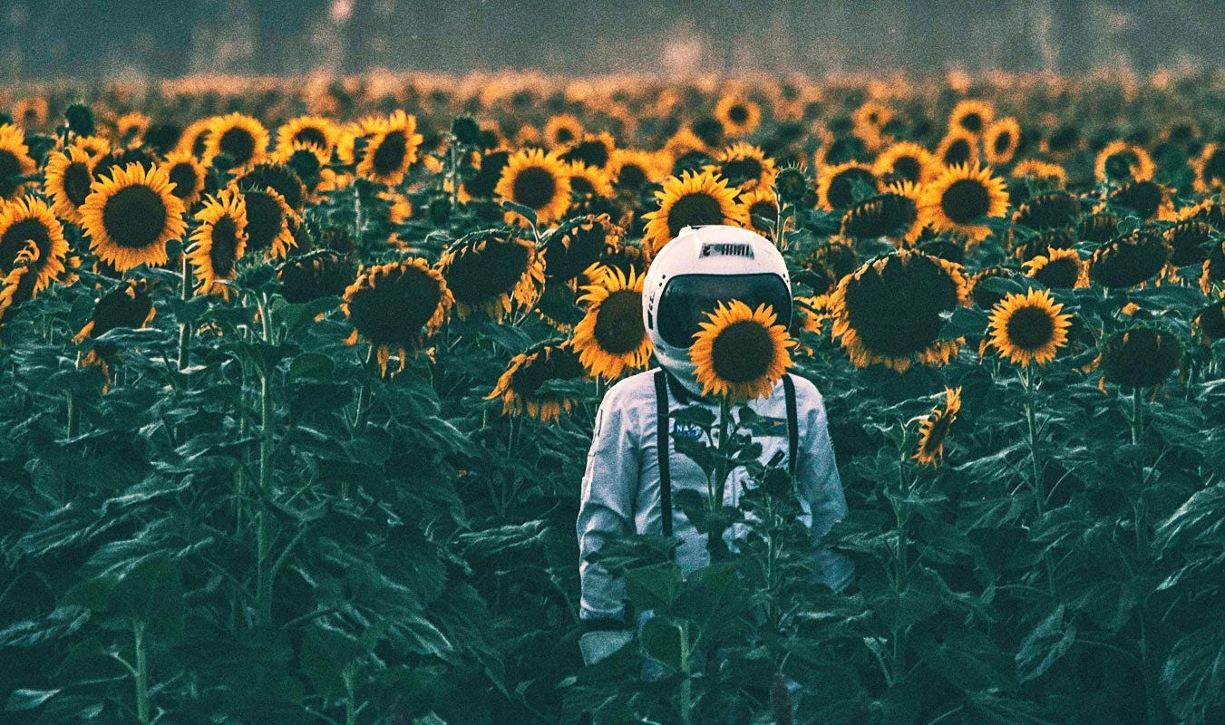 An astronaut in a field of sunflowers.