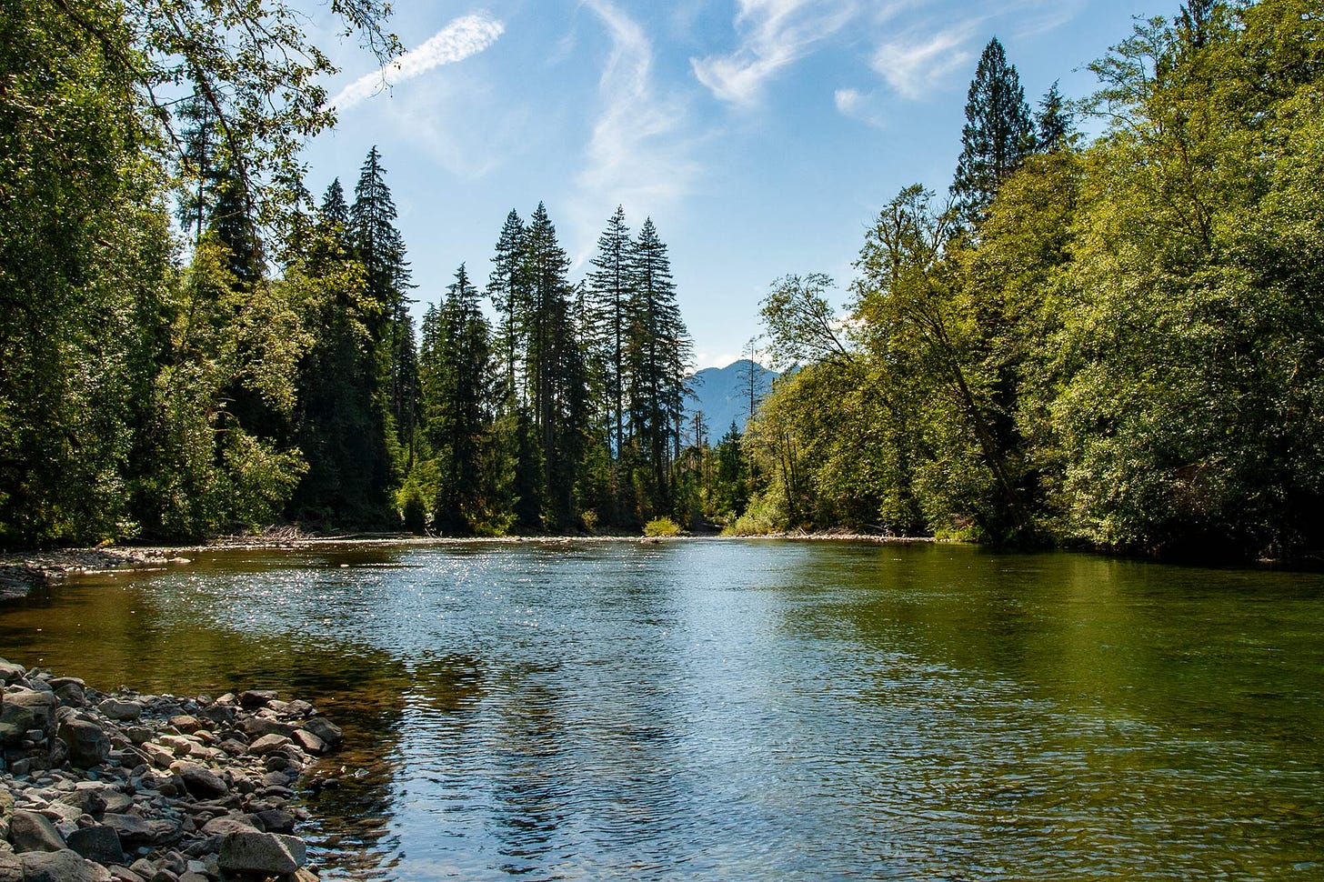 looking downriver from the rocky shoreline towards a distant blue-hazed mountain beneath a blue sky striped with wispy white clouds, the river green and blue reflecting the sky and lush trees overhanging the far bank