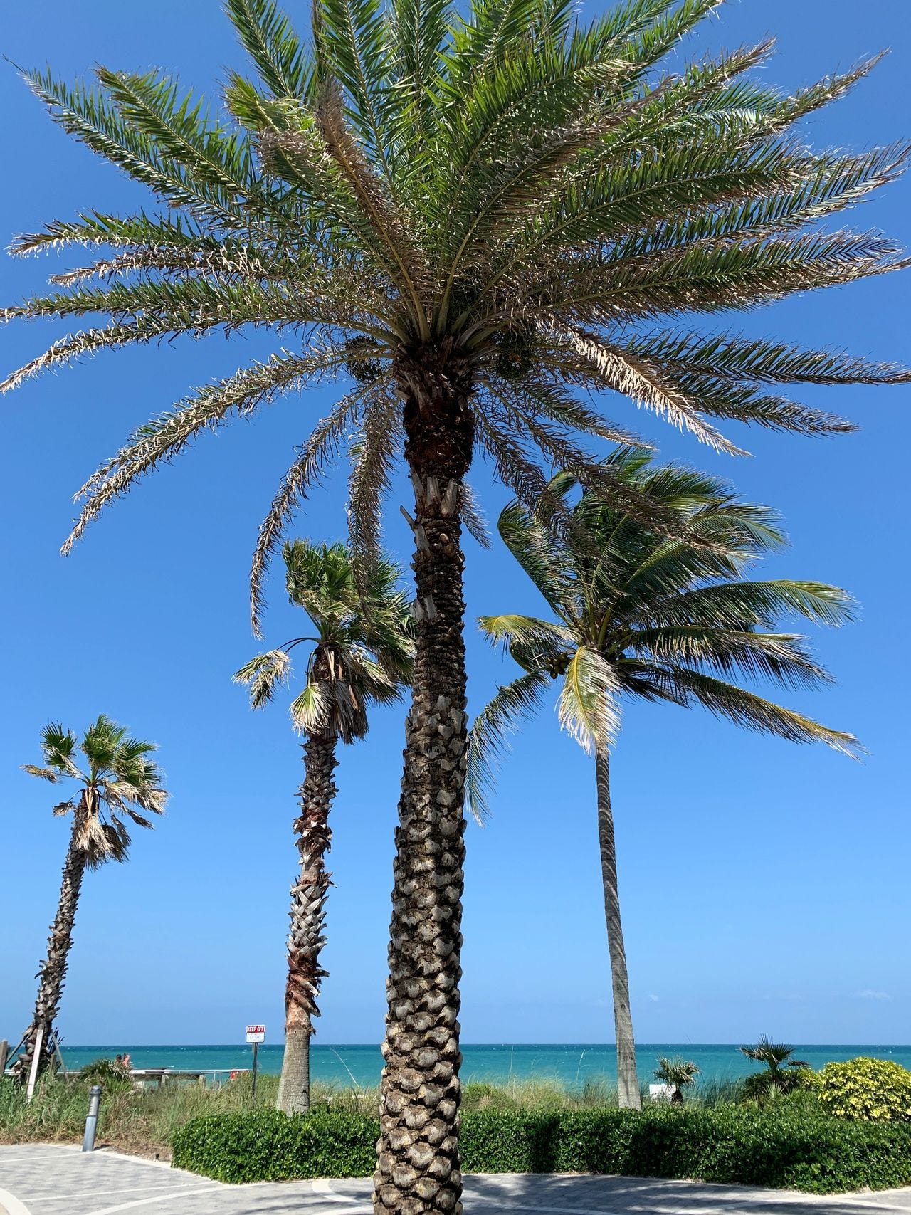 View at Vero Beach, Florida