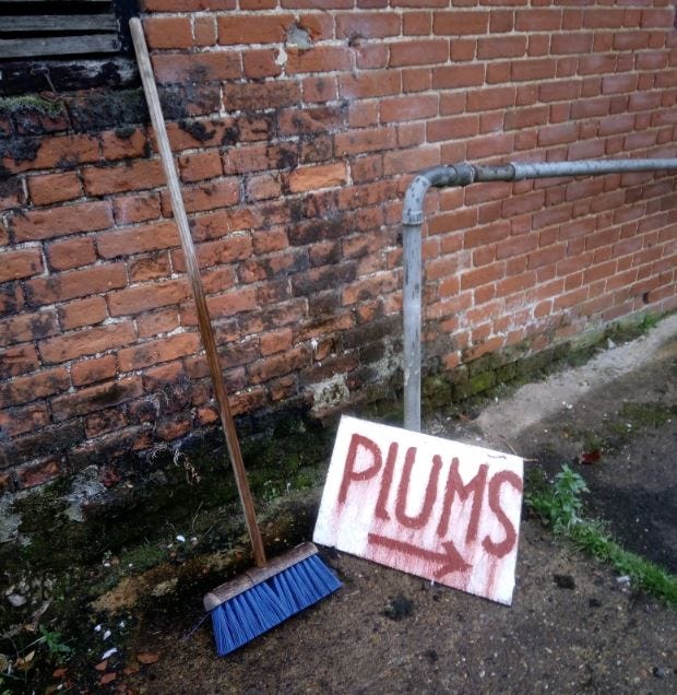 Handpainted farmyard sign which says PLUMS with an arrow