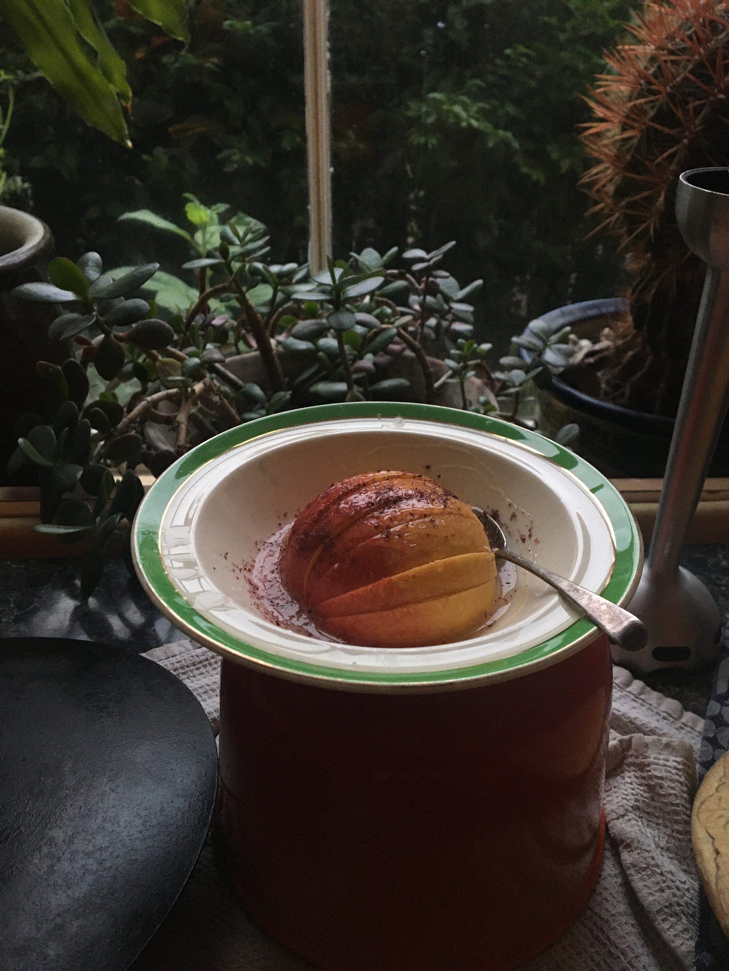A photo from the side of a small saucer with half a sliced nectarine neatly sitting in it. The bowl is cream with a bright green and gold rim. Atop is a dark pink powder, sumac/somaq, some liquid, and a small teaspoon alongside. It is dusk, the light’s fading, and in the background and blurry, there is a big red-spiked cacti and a jade plant in front of a window. 