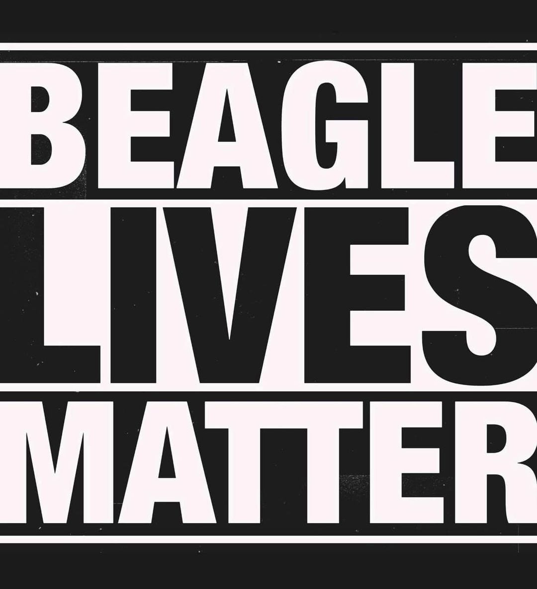 May be an image of text that says 'BEAGLE LIVES MATTER'