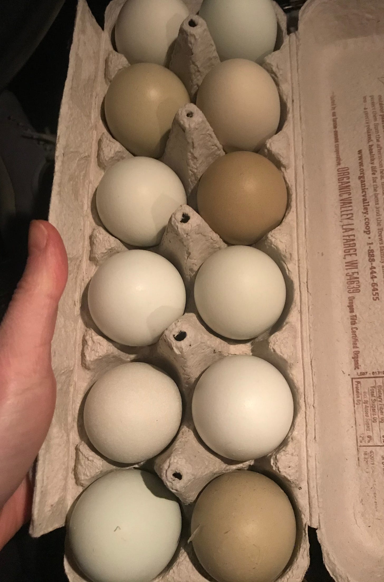 one dozen chicken eggs, multi colored shades of greens and blue