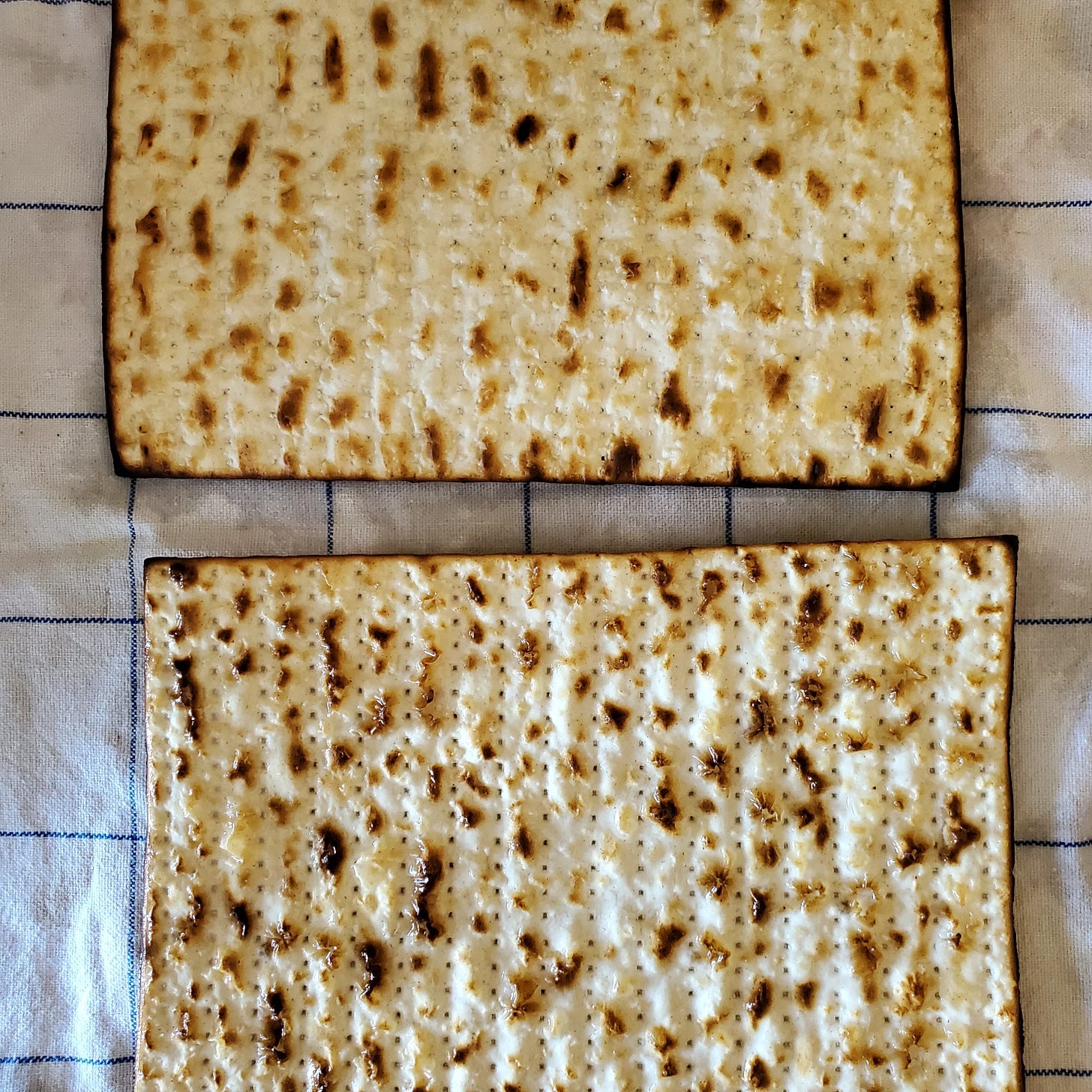 Two sheets of matzah on a white and blue dish towel. 