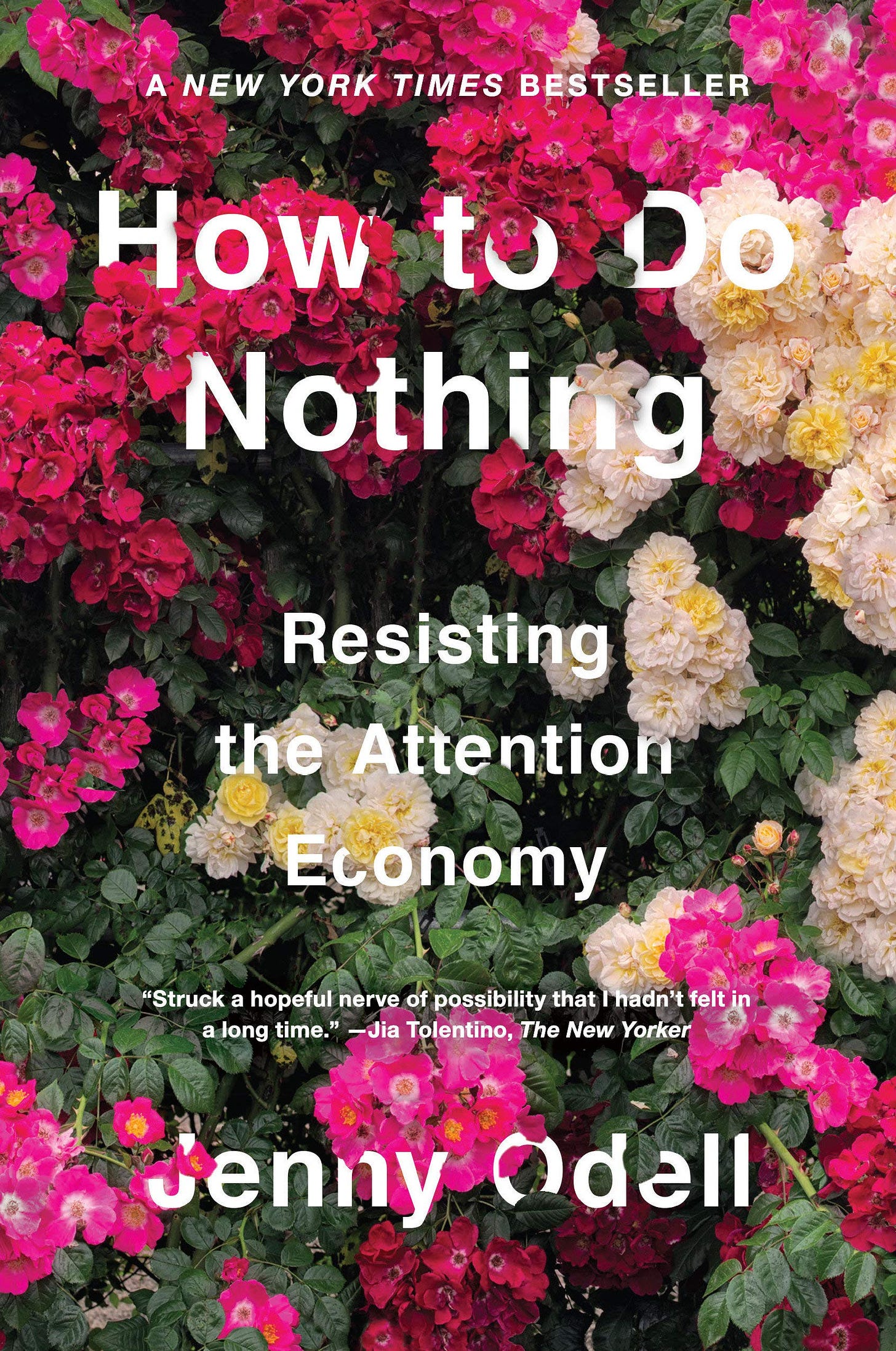 How to Do Nothing: Resisting the Attention Economy: Odell, Jenny:  9781612197494: Amazon.com: Books