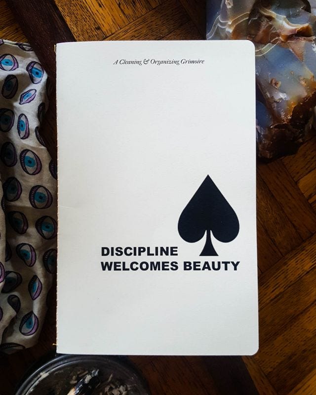 Discipline Welcomes Beauty zine