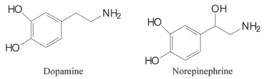 10.8: Basics of Neurotransmitters - Chemistry LibreTexts