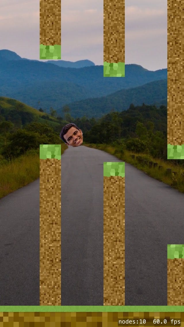 I was not kidding about Flappy Mayank.