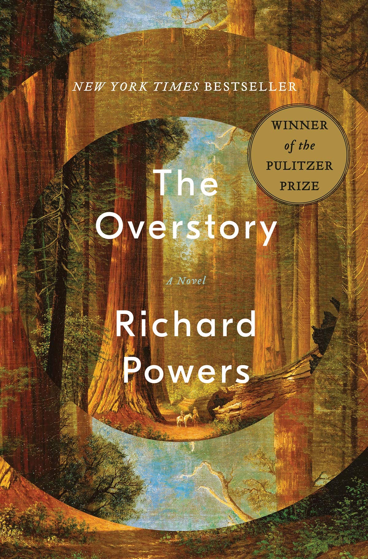 The Overstory: A Novel: Powers, Richard: 9780393635522: Amazon.com: Books