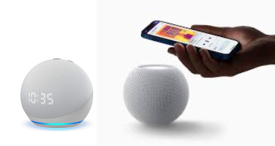 Echo Dot with clock & HomePod mini from Apple