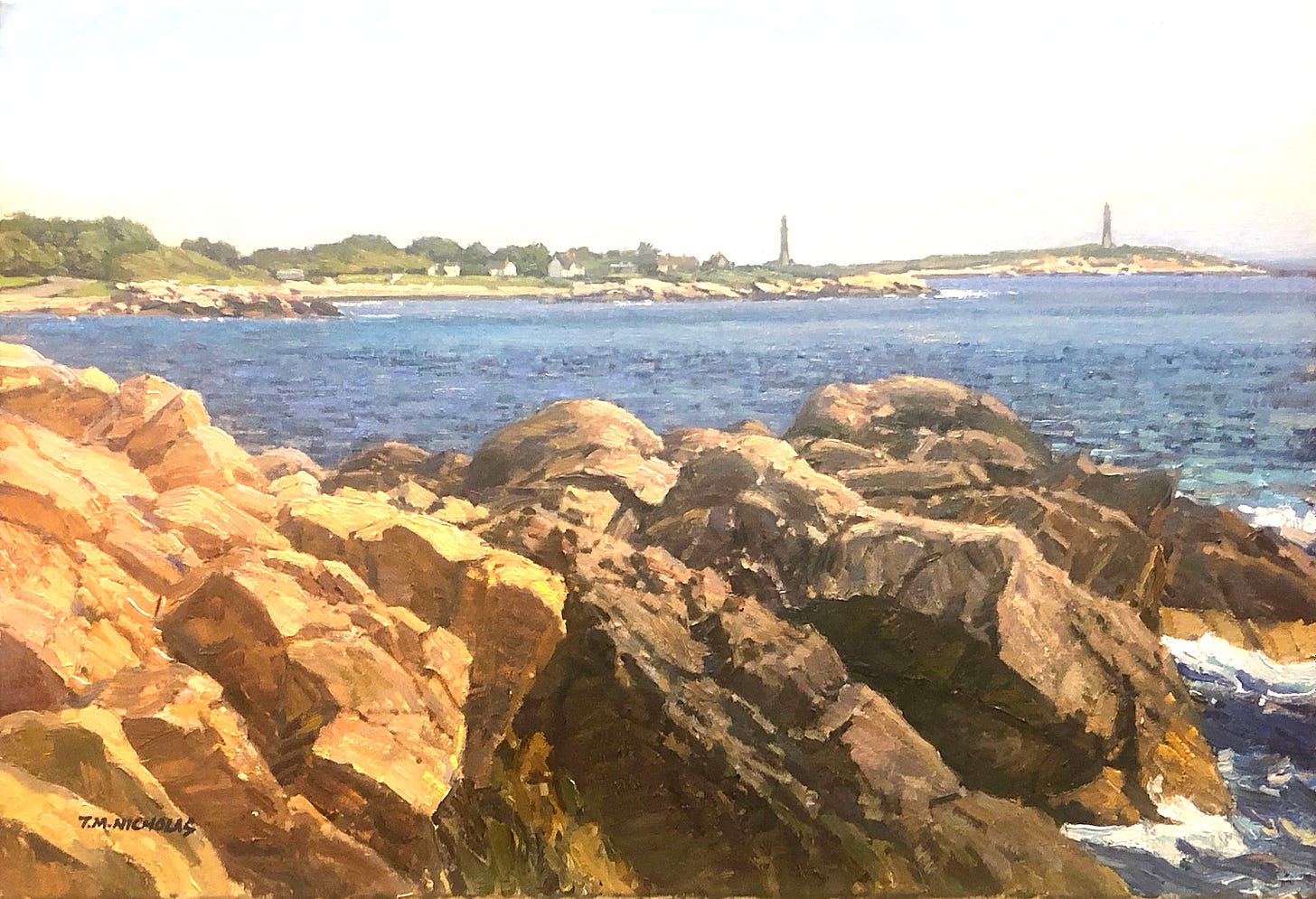 A rocky beach with a body of water in the background

Description automatically generated with low confidence
