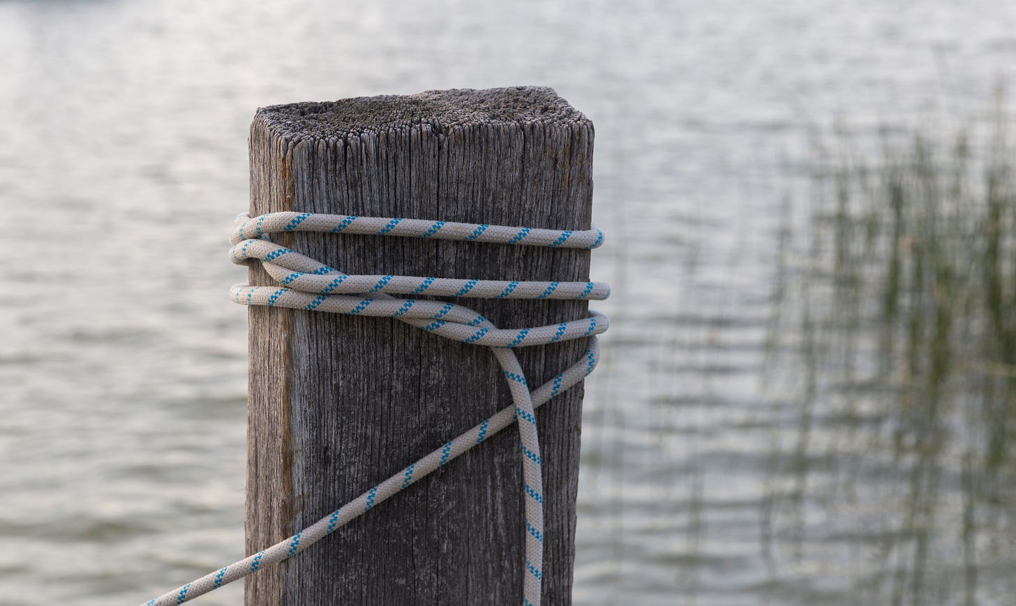 An old wood dock post with a blue-lined rope wrapped around it about 4 times, tied loosely, with some reeds and gently rippling water in the background