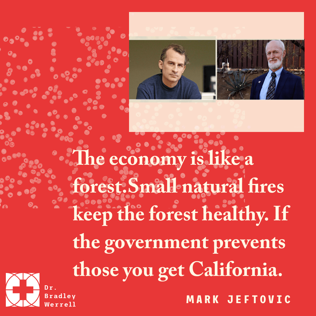 The economy is like a forest. Small natural fires keep the forest healthy. If the government prevents those you get California - Mark Jeftovic