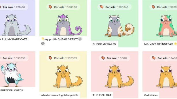 Cryptokitties Are Still a Thing. Here&#39;s Why