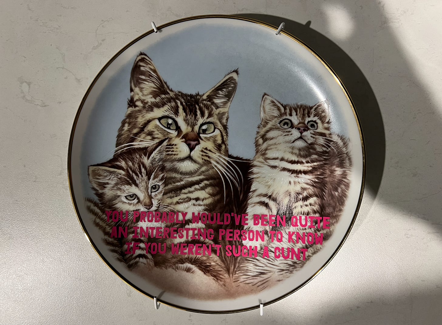 A plate with cats on it, and in pink writing the "CUNT" quite from Michael Organ