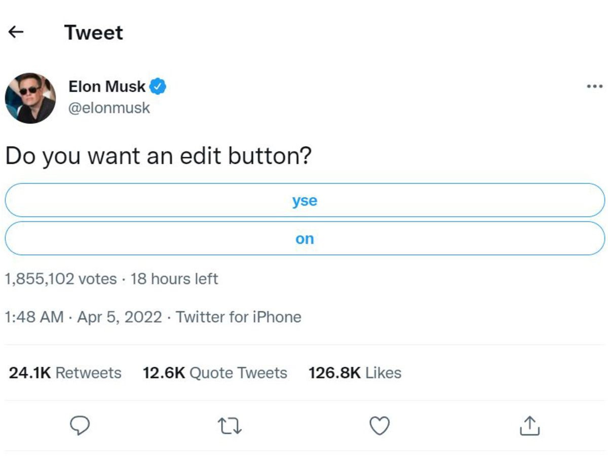 Elon Musk Polls Twitter Users on Edit Button After Becoming Biggest  Shareholder - Bloomberg