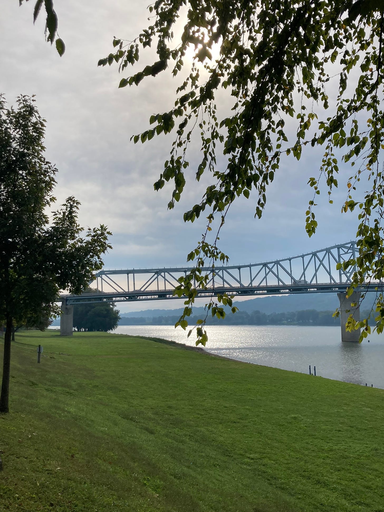 A cloud day with tree branches in the foreground and the river and the bridge in the distance.