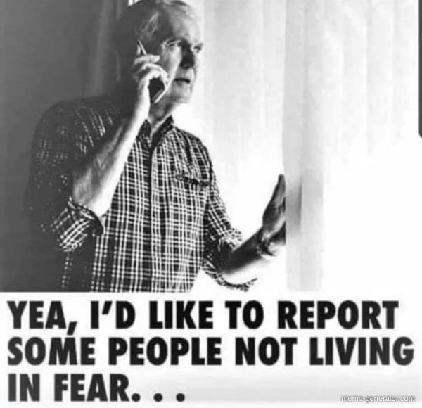 Reporting people for not living in fear - Meme Generator