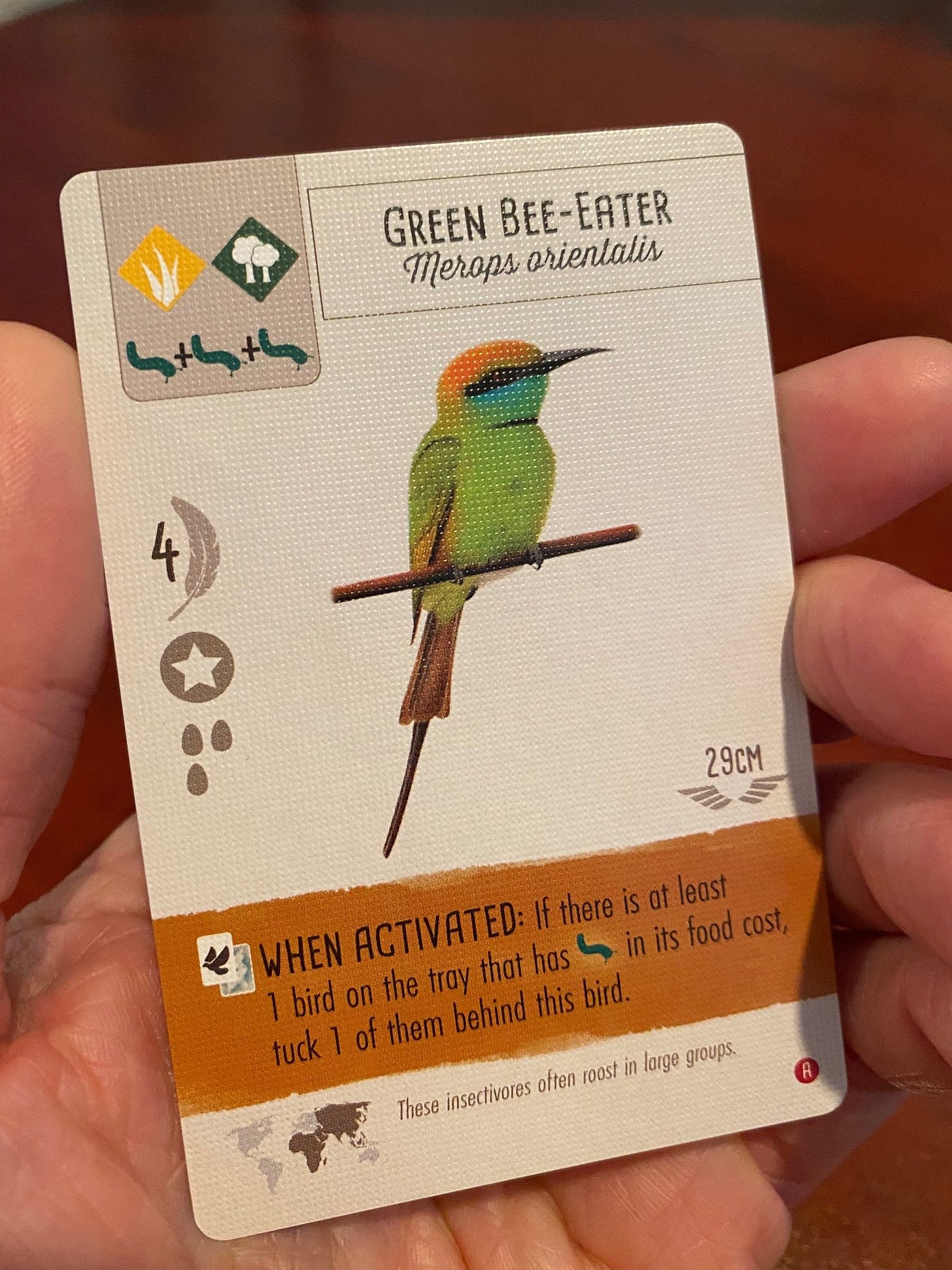 May be an image of bird and text that says 'GREEN GREENBEE-EATER BEE-EATER merops orientalis 4 29CM here is at least WHEN ACTIVATED: has っ in its food cost, bird on the tray that tuck of them behind this bird. These insectivores often roost in large groups.'