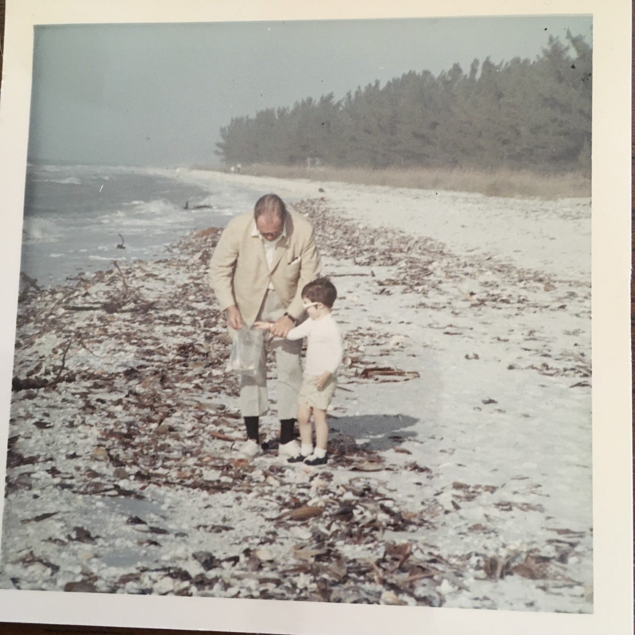 A little girl and her grandfather on a seaweed covered beach by a gray ocean. 