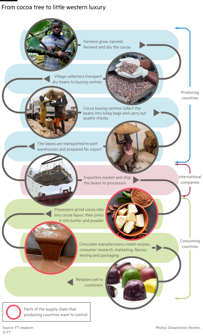 Chart showing the stages of production of cocoa