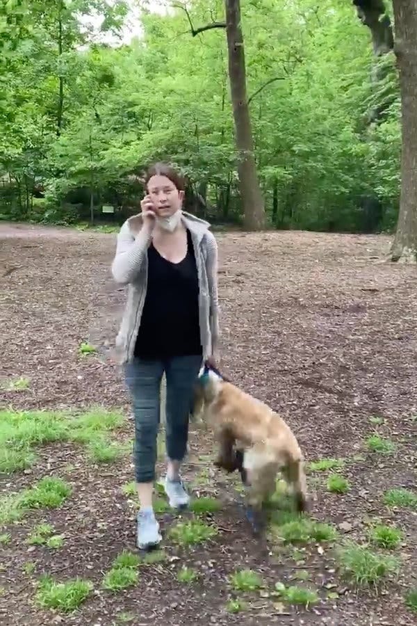 Video of Amy Cooper with her dog in Central Park was widely shared on social media on Monday.