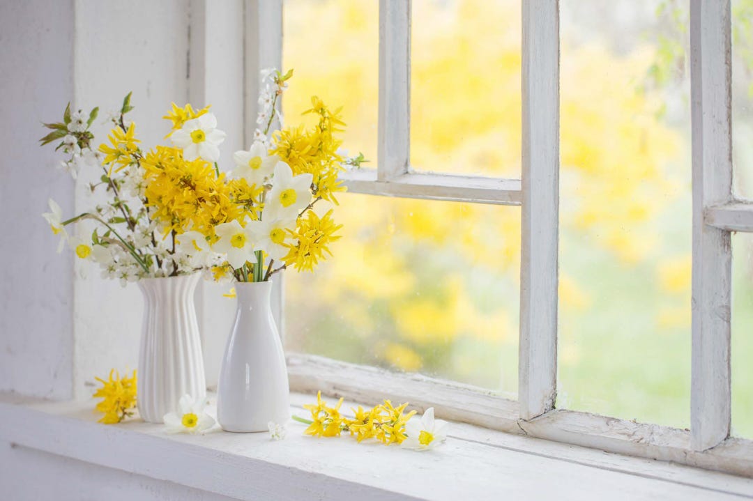 yellow spring flowers in slim white vases on a windowsill, cover image for the article Seasons