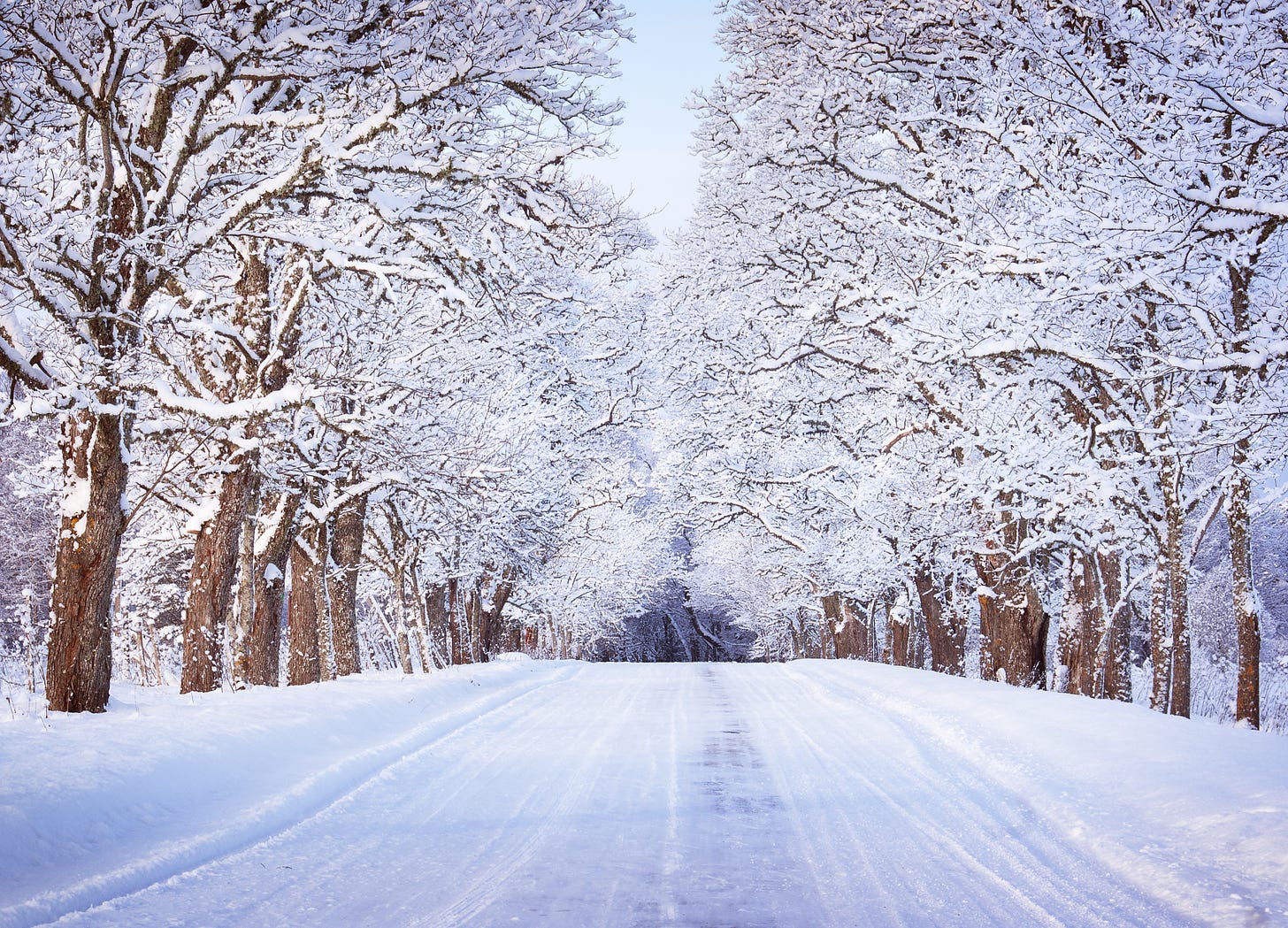 photo of snowy country road