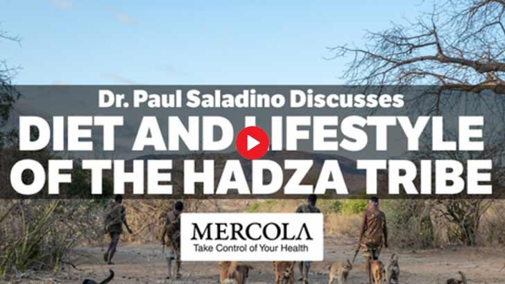 Diet and Environment- Interview with Dr. Paul Saladino