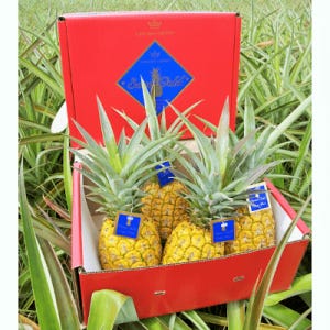 Sweet Gold Pineapple 4-Pack (Source: Hawaiian Crown)