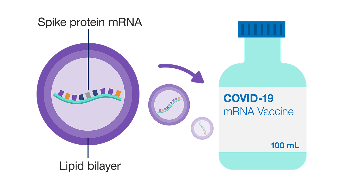 COVID-19 mRNA Vaccine Production